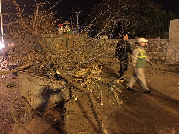 Cả nước hân hoan đón mừng năm mới Bính Thân 2016 ảnh 58