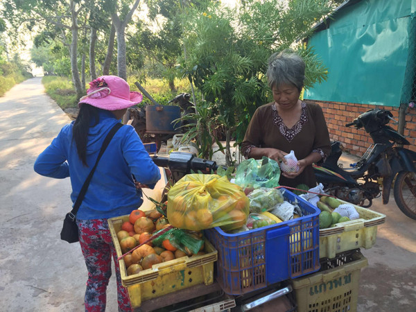 Cả nước hân hoan đón mừng năm mới Bính Thân 2016 ảnh 96