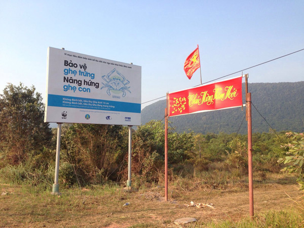 Cả nước hân hoan đón mừng năm mới Bính Thân 2016 ảnh 98