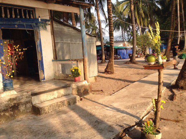 Cả nước hân hoan đón mừng năm mới Bính Thân 2016 ảnh 97