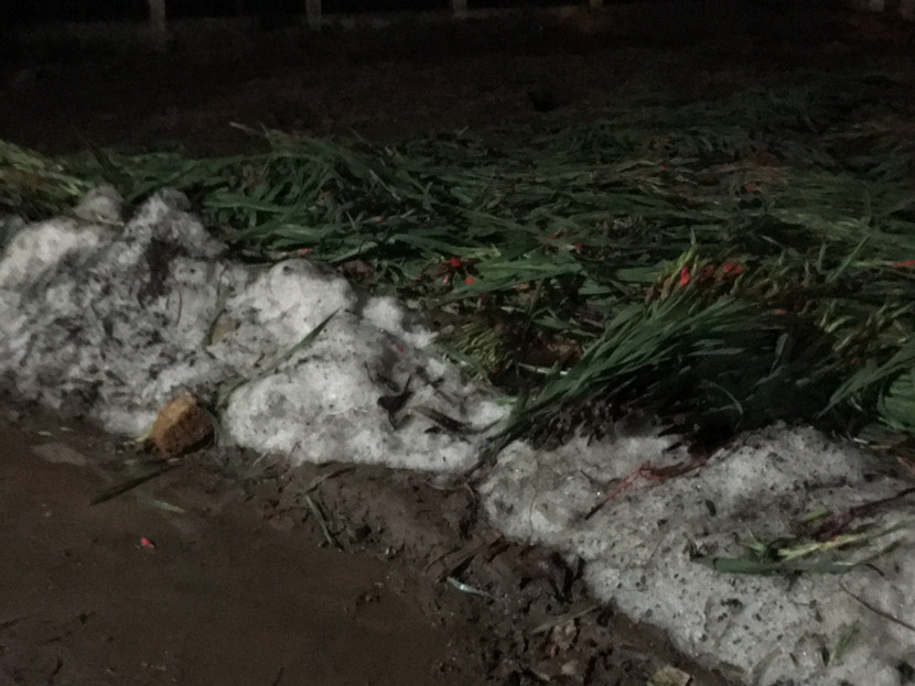 Cả nước hân hoan đón mừng năm mới Bính Thân 2016 ảnh 107