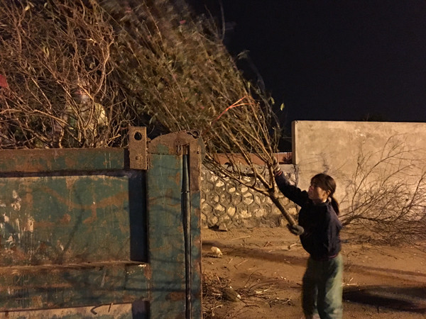 Cả nước hân hoan đón mừng năm mới Bính Thân 2016 ảnh 57