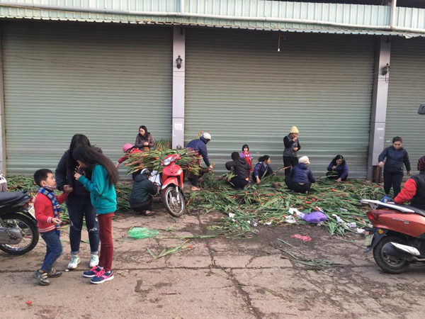 Cả nước hân hoan đón mừng năm mới Bính Thân 2016 ảnh 106