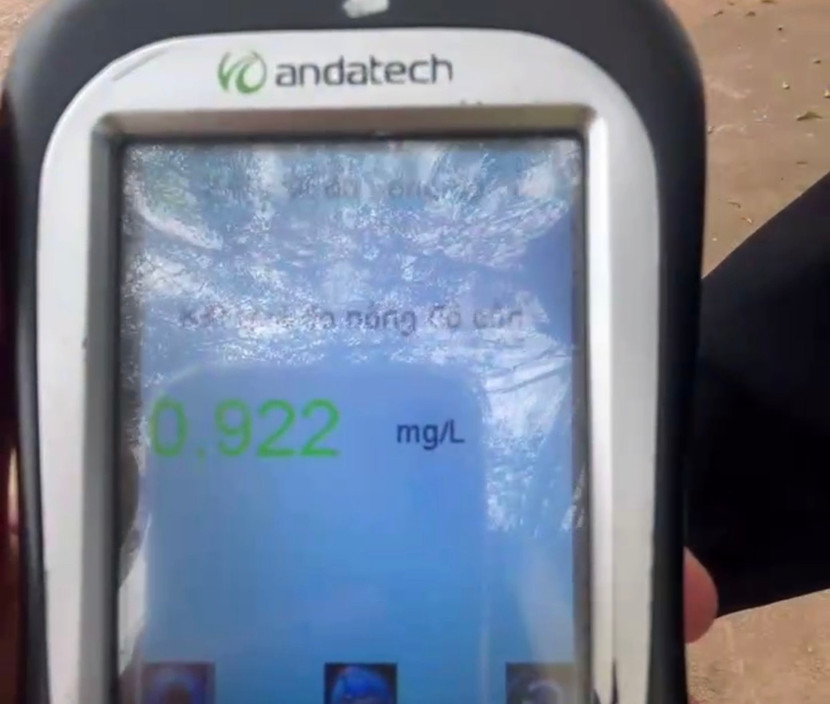 Mức vi phạm của anh Đ