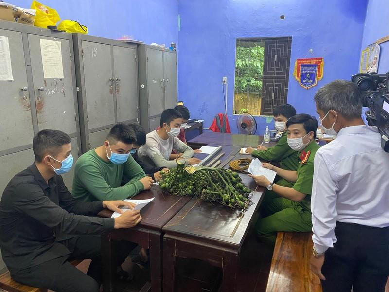 Không trộm được cau, các đối tượng quay sang hành hung nạn nhân Không trộm được cau, các đối tượng quay sang hành hung nạn nhân