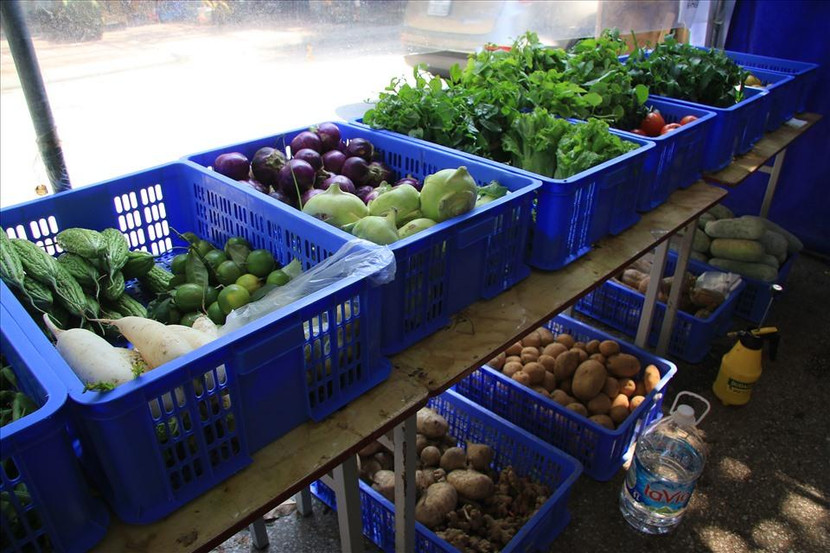 Thực phẩm đều an toàn, tươi ngon Thực phẩm đều an toàn, tươi ngon