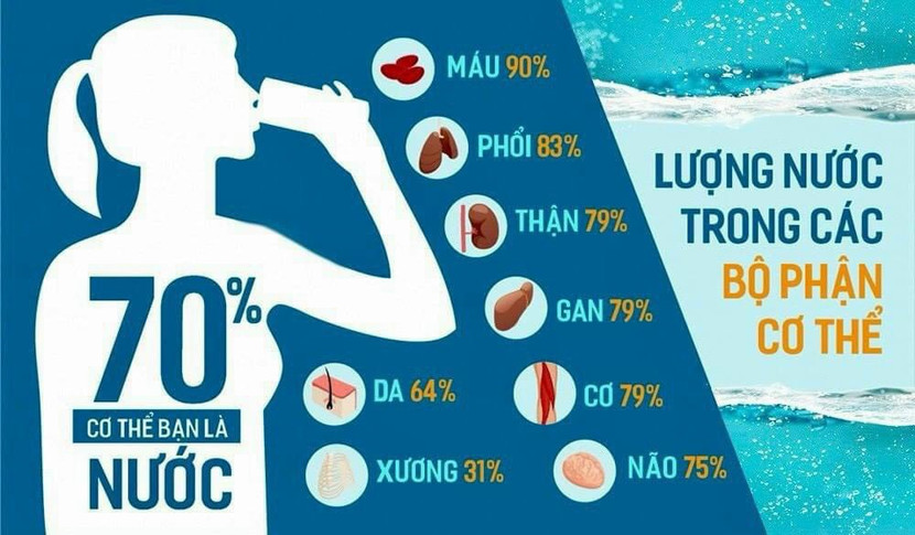 Nước chiếm tới 70% cơ thể, vì thế nếu nước bị axit thì rất có hại cho sức khỏe Nước chiếm tới 70% cơ thể, vì thế nếu nước bị axit thì rất có hại cho sức khỏe