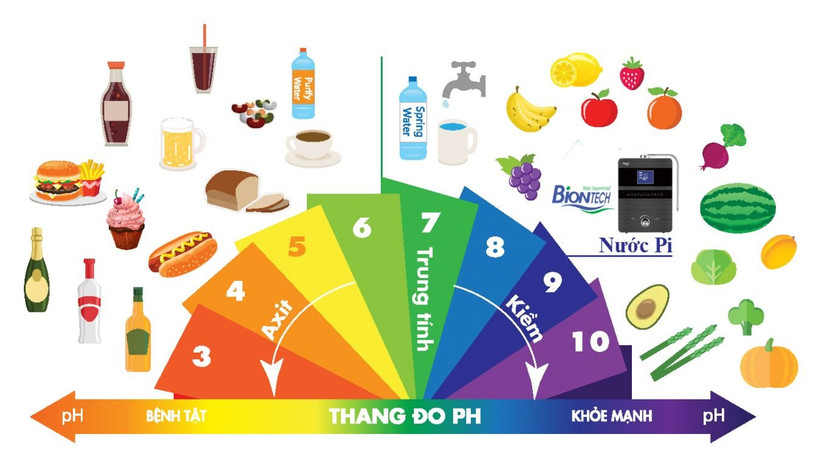 Bảng đo một số nhóm thực phẩm, đồ uống mang tính axit, kiềm và tác động đến sức khỏe Bảng đo một số nhóm thực phẩm, đồ uống mang tính axit, kiềm và tác động đến sức khỏe