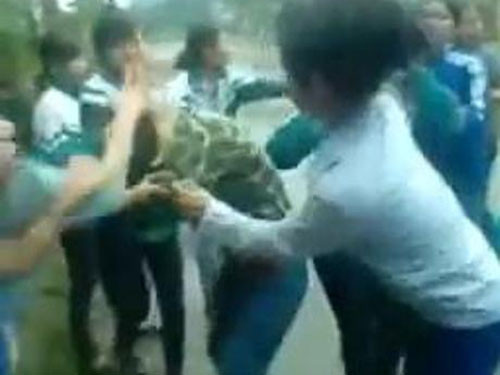 Ảnh cắt ra từ clip