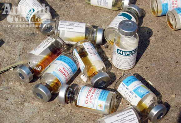 Hàng trăm bao tải chứa rác thải y tế và vỏ nhiều loại biệt dược đang bôc mùi hôi thối nồng nặc