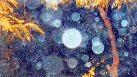 Cách tạo "linh hồn người âm" - chuyện... đơn giản! ảnh 3