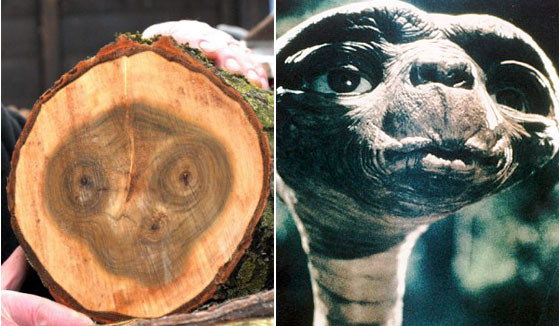 Sự trùng hợp ngẫu nhiên