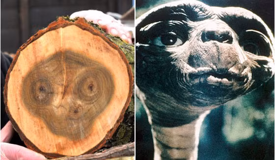 Sự trùng hợp ngẫu nhiên