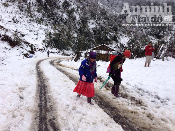 Sa Pa: Tuyết dày 50cm, nhiều vụ tai nạn giao thông do trơn trượt ảnh 11