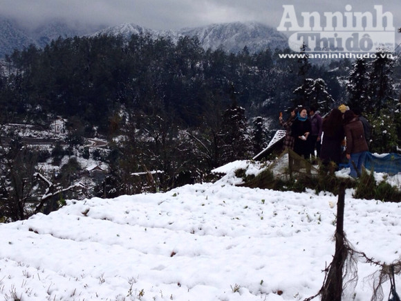 Tuyết trắng trời Sa Pa: Vẻ đẹp lạnh giá cuốn hút du khách ảnh 8 Tuyết trắng trời Sa Pa: Vẻ đẹp lạnh giá cuốn hút du khách ảnh 8