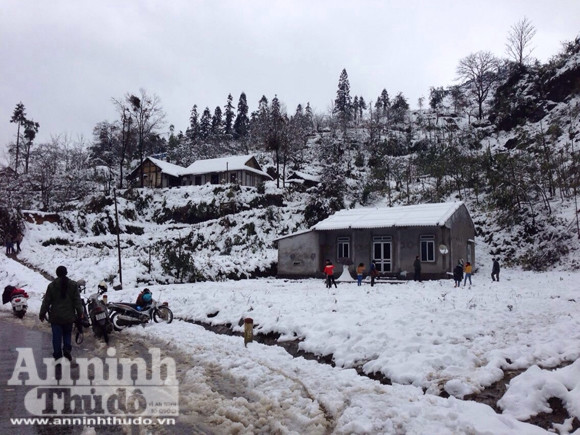 Tuyết trắng trời Sa Pa: Vẻ đẹp lạnh giá cuốn hút du khách ảnh 18 Tuyết trắng trời Sa Pa: Vẻ đẹp lạnh giá cuốn hút du khách ảnh 18