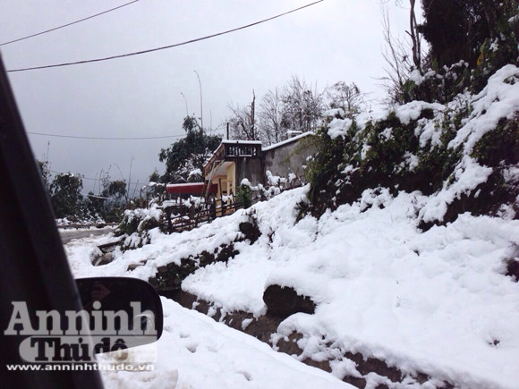 Tuyết trắng trời Sa Pa: Vẻ đẹp lạnh giá cuốn hút du khách ảnh 20 Tuyết trắng trời Sa Pa: Vẻ đẹp lạnh giá cuốn hút du khách ảnh 20