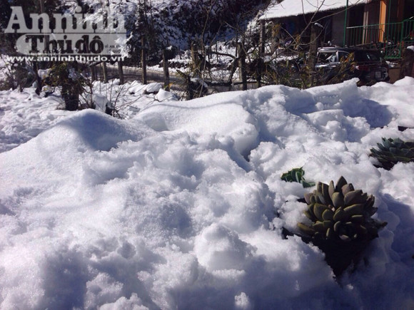 Nắng tuyết Sa Pa hút hồn du khách thập phương ảnh 1