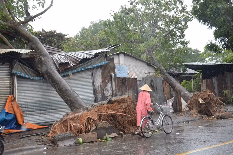 Quận Thủ Đức tan hoang sau mưa lớn do ảnh hưởng bão số 14 ảnh 4