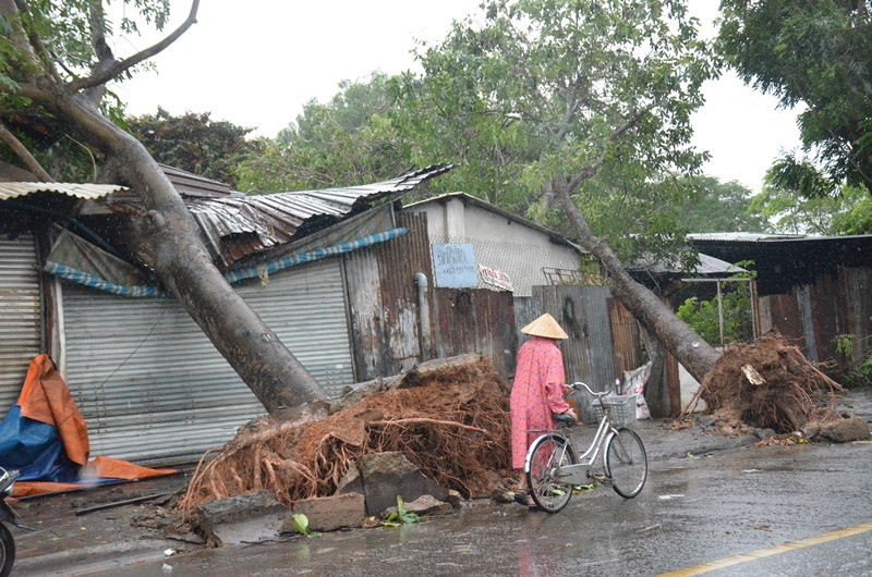 Quận Thủ Đức tan hoang sau mưa lớn do ảnh hưởng bão số 14 ảnh 4
