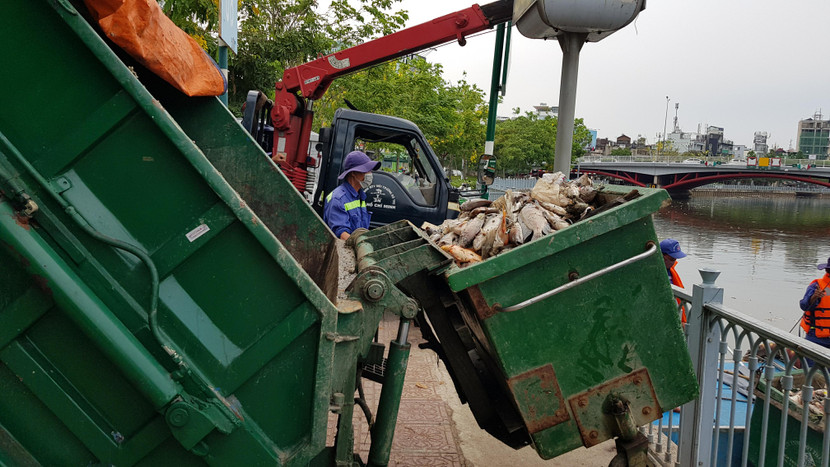 Nguyên nhân cá chết dày đặc kênh Nhiêu Lộc - Thị Nghè ảnh 4 Nguyên nhân cá chết dày đặc kênh Nhiêu Lộc - Thị Nghè ảnh 4