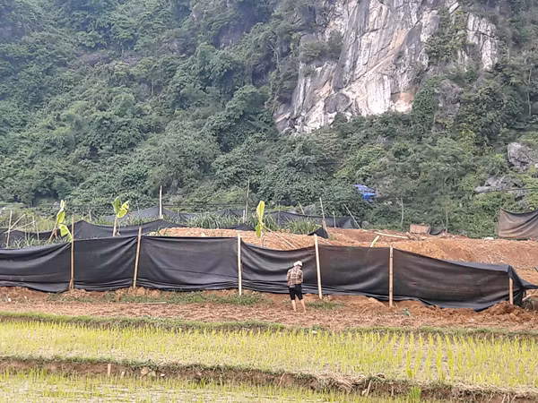 "Vàng tặc" lộng hành ở Kim Bôi, Hòa Bình ảnh 8