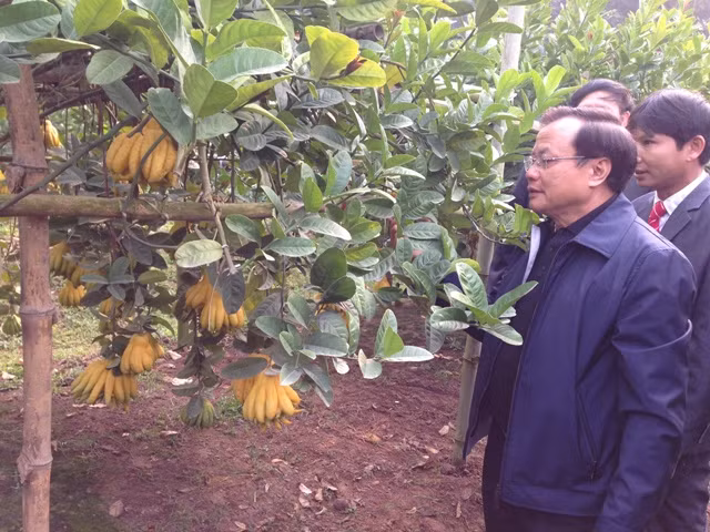 Xây dựng nông thôn mới cần gắn với môi trường bền vững ảnh 2