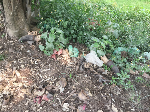 Hơn 50 người được huy động để dọn dẹp "con đường xương cốt" ảnh 6