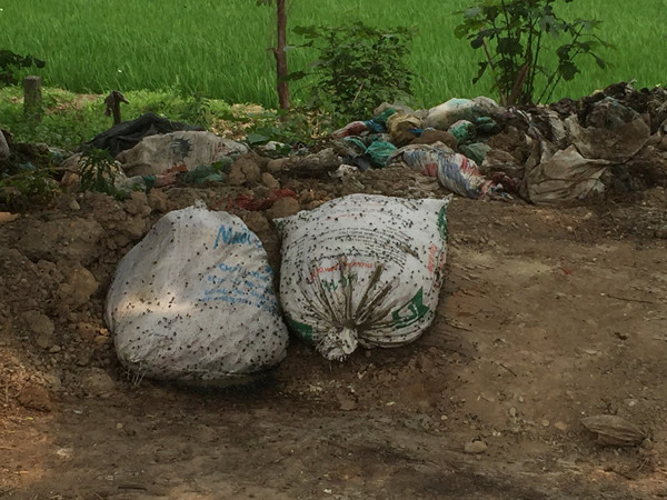 Hơn 50 người được huy động để dọn dẹp "con đường xương cốt" ảnh 7