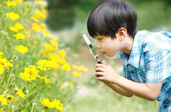 Thoát khỏi những "hộp diêm" ngột ngạt, mẹ cho con căn hộ xanh nơi phố... ảnh 1