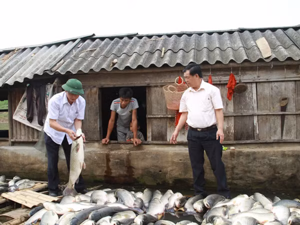 Đầu độc sông Bưởi, bị phạt gần 4 tỷ đồng ảnh 1