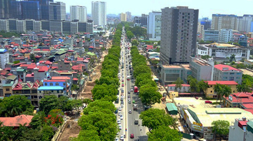 Hà Nội: Di dời cây xanh để đẩy nhanh tiến độ mở rộng đường Phạm Văn Đồng ảnh 1