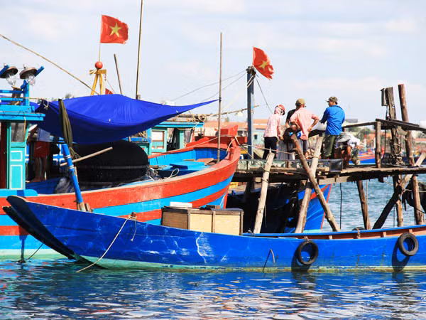  Vụ cá chết hàng loạt: Triển khai gói tín dụng 1.500 tỷ đồng hỗ trợ ngư dân ảnh 1