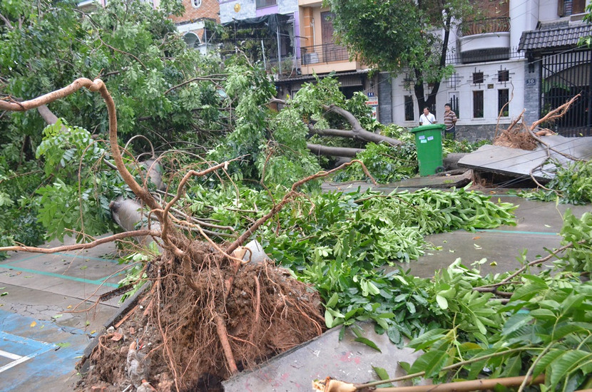 Quận Thủ Đức tan hoang sau mưa lớn do ảnh hưởng bão số 14 ảnh 10