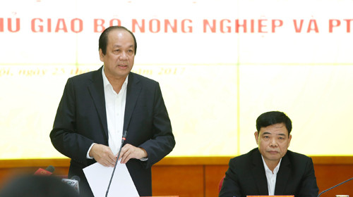 ​Giải quyết dứt điểm chồng chéo trong kiểm tra chuyên ngành ảnh 1