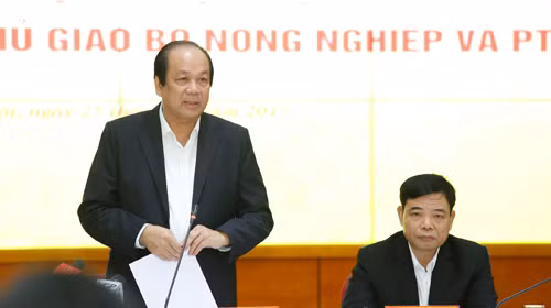 ​Giải quyết dứt điểm chồng chéo trong kiểm tra chuyên ngành ảnh 1