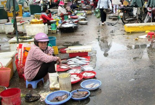 Phải lấy mẫu kiểm tra, xác nhận cá an toàn trước khi bán ảnh 1