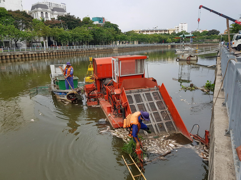 Nguyên nhân cá chết dày đặc kênh Nhiêu Lộc - Thị Nghè ảnh 1 Nguyên nhân cá chết dày đặc kênh Nhiêu Lộc - Thị Nghè ảnh 1