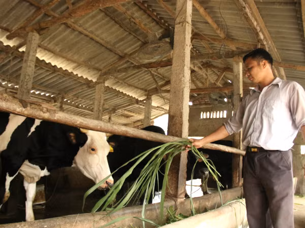 Từ vài triệu đồng vốn vay dựng cơ ngơi bạc tỷ ảnh 1