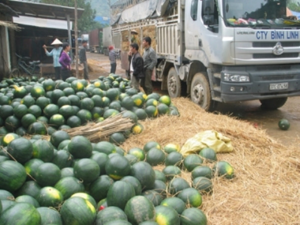 Giải bài toán phụ thuộc vào thị trường Trung Quốc ảnh 1