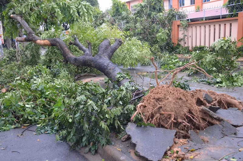 Quận Thủ Đức tan hoang sau mưa lớn do ảnh hưởng bão số 14 ảnh 2