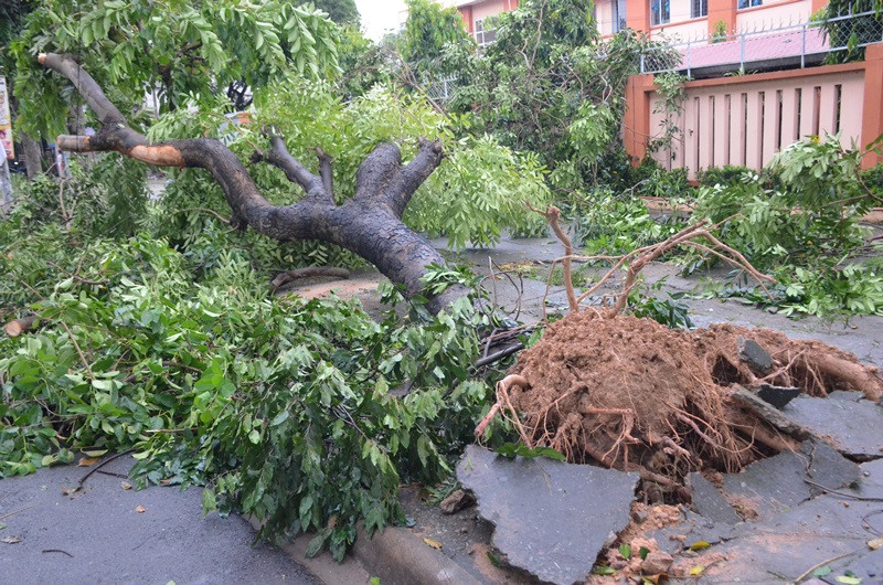 Quận Thủ Đức tan hoang sau mưa lớn do ảnh hưởng bão số 14 ảnh 2