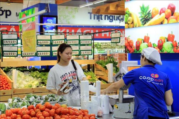 Bán lẻ nước ngoài gia tăng sức ép với bán lẻ trong nước ảnh 1