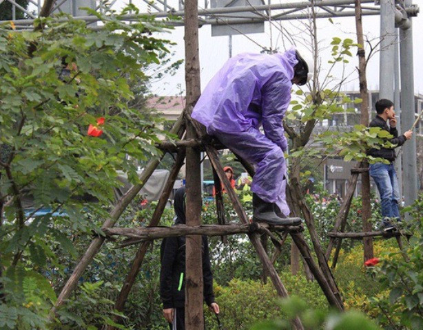 Đón U23 Việt Nam, nhiều người hâm mộ giẫm đạp lên cây xanh, thảm cỏ ảnh 4