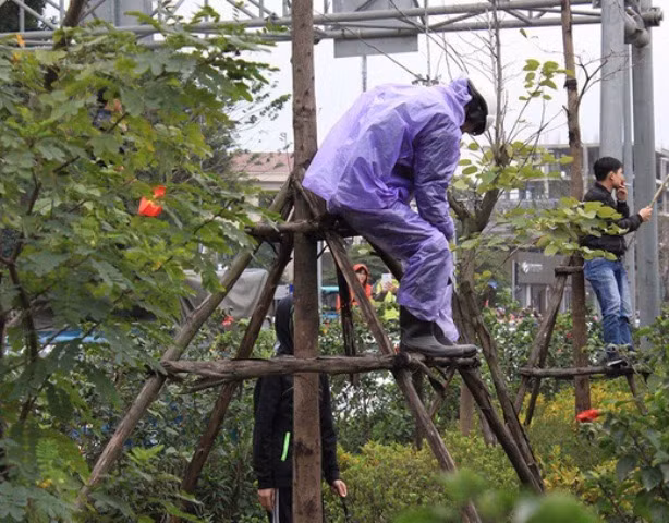 Đón U23 Việt Nam, nhiều người hâm mộ giẫm đạp lên cây xanh, thảm cỏ ảnh 4 Đón U23 Việt Nam, nhiều người hâm mộ giẫm đạp lên cây xanh, thảm cỏ ảnh 4