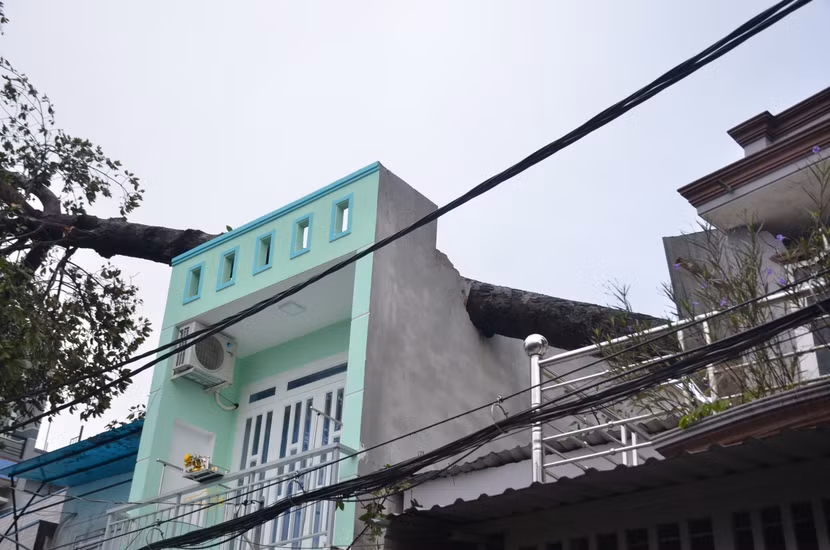 Quận Thủ Đức tan hoang sau mưa lớn do ảnh hưởng bão số 14 ảnh 8