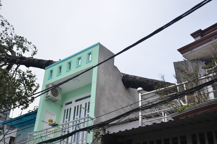 Quận Thủ Đức tan hoang sau mưa lớn do ảnh hưởng bão số 14 ảnh 8