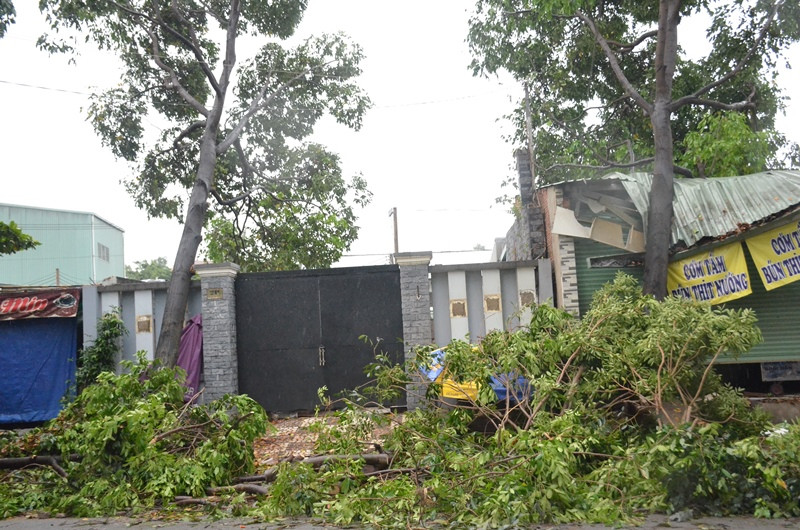 Quận Thủ Đức tan hoang sau mưa lớn do ảnh hưởng bão số 14 ảnh 1