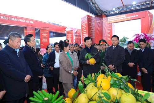 Bí thư Thành ủy Hà Nội: Phát triển xã đảo Minh Châu thành điểm du lịch sinh thái, trải nghiệm…