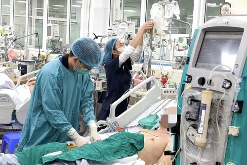 Cứu sống một giảng viên người nước ngoài bị sốc nhiễm khuẩn, viêm phổi nặng